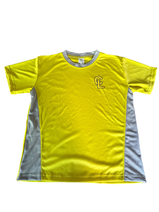 Polera Drifit MODELO NUEVO 2025